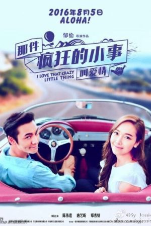 Phim Chuyện Điên Cuồng Nhỏ Bé Gọi Là Tình Yêu - I Love That Crazy Little Thing PhimChill Vietsub (2016)