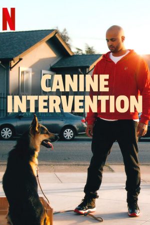 Phim Cali K9 Trường huấn khuyển - Canine Intervention PhimChill Vietsub (2021)