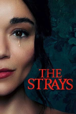 Phim Kẻ Lạc Đường - The Strays PhimChill Vietsub (2023)