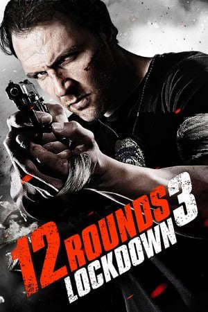 Phim 12 Vòng Sinh Tử 3 Phong Tỏa - 12 Rounds 3 Lockdown PhimChill Vietsub (2015)