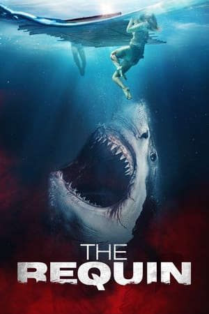 Phim Chơi Vơi Giữa Biển Khơi - The Requin PhimChill Vietsub (2022)