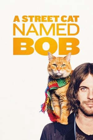 Phim Chú Mèo Đường Phố Bob - A Street Cat Named Bob PhimChill Vietsub (2016)