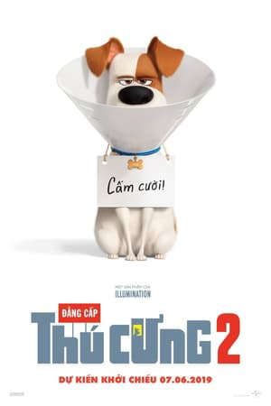 Phim Đẳng Cấp Thú Cưng 2 - The Secret Life of Pets 2 PhimChill Vietsub (2019)