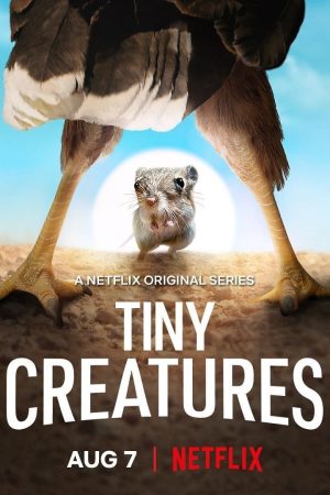 Phim Những sinh vật tí hon - Tiny Creatures PhimChill Vietsub (2020)