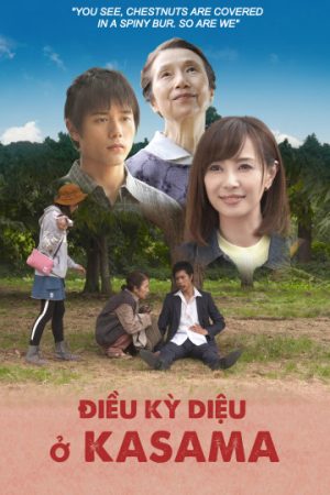 Phim Điều kỳ diệu ở Kasama - Miracle in Kasama PhimChill Vietsub (2018)