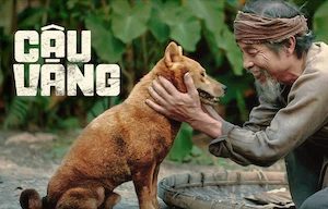 Phim Cậu Vàng - The Old Mans Dog PhimChill Vietsub (2021)