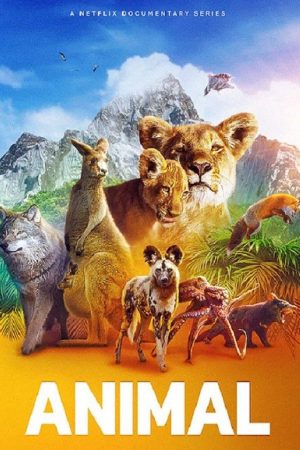 Xem phim Động vật ( 2) tập 1 PhimChill Thuyết Minh HD Vietsub Phim Mỹ-Animal (Season 2)