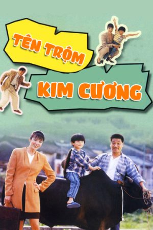 Phim Tên Trộm Kim Cương - To Catch A Thief PhimChill Vietsub (1992)