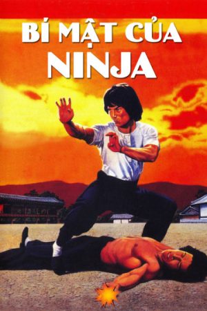 Phim Bí Mật Của Ninja - Ninja Knight 2 Roaring Tiger PhimChill Vietsub (1982)