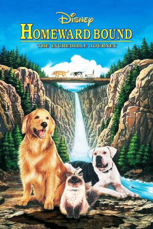 Phim Homeward Bound The Incredible Journey - Homeward Bound The Incredible Journey PhimChill Vietsub (1993)