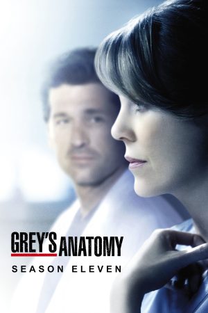 Phim Ca Phẫu Thuật Của Grey ( 11) - Greys Anatomy (Season 11) PhimChill Vietsub (2014)