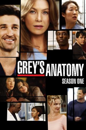 Phim Ca Phẫu Thuật Của Grey ( 1) - Greys Anatomy (Season 1) PhimChill Vietsub (2005)