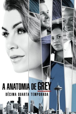 Phim Ca Phẫu Thuật Của Grey ( 14) - Greys Anatomy (Season 14) PhimChill Vietsub (2017)