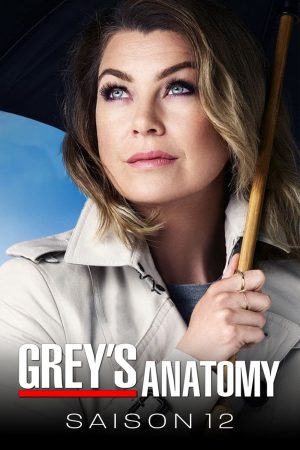 Phim Ca Phẫu Thuật Của Grey ( 12) - Greys Anatomy (Season 12) PhimChill Vietsub (2015)