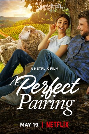 Phim Bộ đôi hoàn mỹ - A Perfect Pairing PhimChill Vietsub (2022)