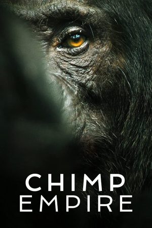 Phim Đế chế tinh tinh - Chimp Empire PhimChill Vietsub (2023)