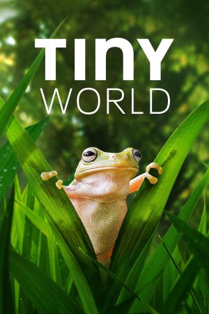 Phim Thế Giới Siêu Nhỏ ( 2) - Tiny World (Season 2) PhimChill Vietsub (2021)