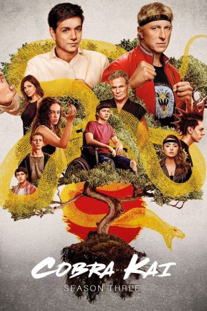 Phim Võ Đường Cobra Kai ( 3) - Cobra Kai (Season 3) PhimChill Vietsub (2021)