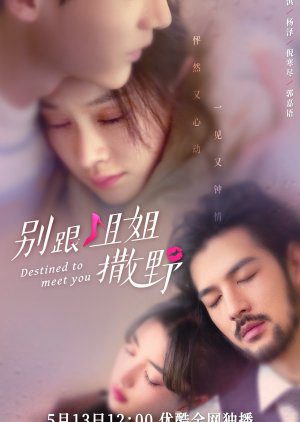 Phim Đừng Nhờn Với Chị - Destined to Meet You PhimChill Vietsub (2022)