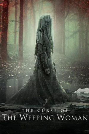 Poster of Mẹ ma than khóc La Llorona