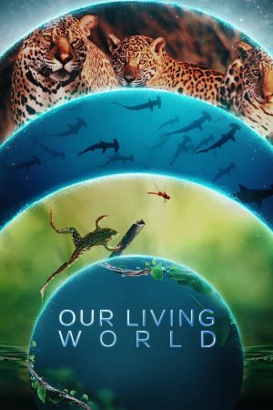 Phim Thế giới sống của chúng ta - Our Living World PhimChill Vietsub (2024)