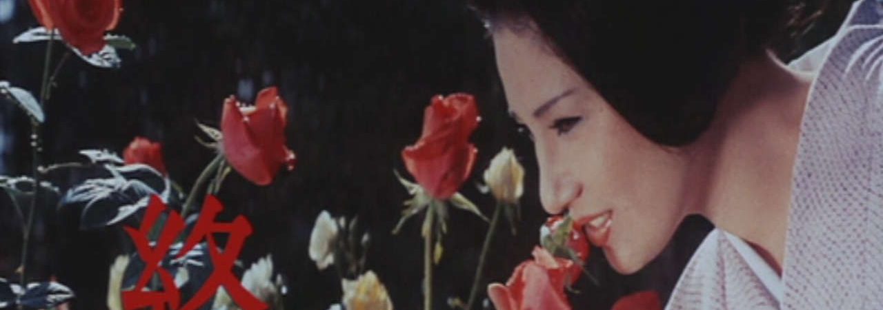 Poster of Hoa Và Rắn (1974)