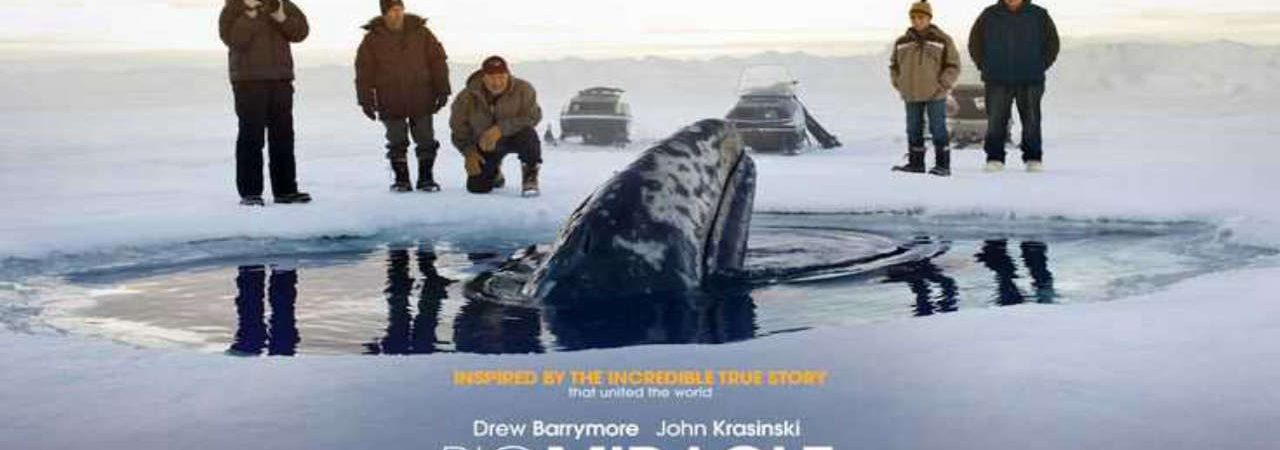 Poster of Big Miracle