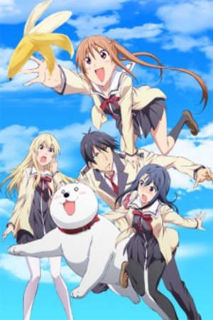 Phim Aho Girl - AHO GIRL Ahogaru Clueless Girl Dummy Girl PhimChill Vietsub (2017)