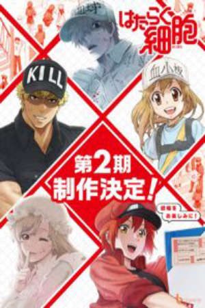 Phim Hataraku Saibou - Cells at Work Cells at Work 2nd Season Hataraku Saibou 2nd Season PhimChill Vietsub (2021)