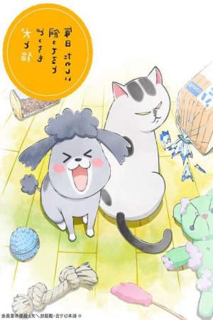 Phim Inu to Neko Docchi mo Katteru to Mainichi Tanoshii - With a Dog AND a Cat Every Day is Fun PhimChill Vietsub (2020)