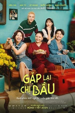 Phim Gặp Lại Chị Bầu - Destined Encounter PhimChill Vietsub (2024)