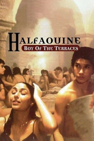 Phim Cậu Bé Mới Lớn - Halfaouine Boy of the Terraces PhimChill Vietsub (1990)