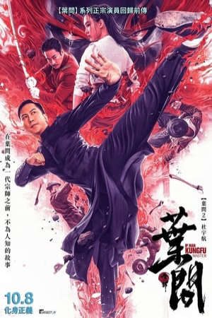 Phim Diệp Vấn Bậc Thầy Võ Thuật - Ip Man Kung Fu Master PhimChill Vietsub (2019)