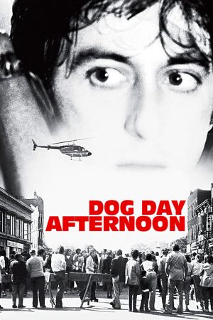 Phim Buổi Chiều Xui Xẻo - Dog Day Afternoon PhimChill Vietsub (1975)