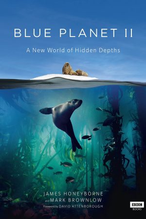 Phim Đại Dương Sâu Thẳm 2 - The Blue Planet 2 PhimChill Vietsub (2015)