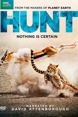 Phim Săn Mồi - BBC The Hunt PhimChill Vietsub (2015)