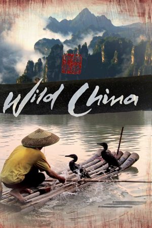 Phim Thiên Nhiên Hoang Dã Trung Quốc - Wild China PhimChill Vietsub (2008)