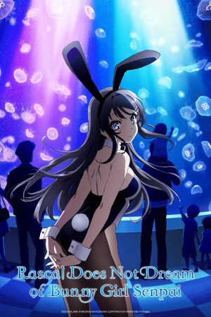 Phim Hội chứng tuổi teen và cô gái có đôi tai thỏ - Rascal Does Not Dream of Bunny Girl Senpai PhimChill Vietsub (2018)