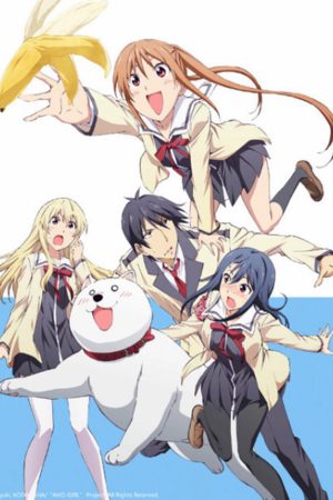 Xem phim Cô Nàng Ngốc Aho Girl tập 11 PhimChill Thuyết Minh HD Vietsub Phim Nhật Bản-Aho Girl