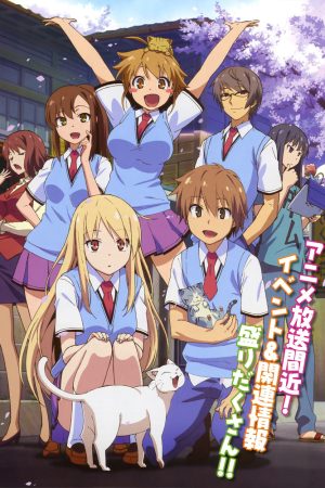 Phim Sakurasou No Pet Na Kanojo - The Pet Girl of Sakurasou Blu ray PhimChill Vietsub (2015)