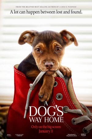 Phim Đường Về Nhà Của Cún Con - A Dogs Way Home PhimChill Vietsub (2019)