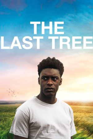 Phim The Last Tree - The Last Tree PhimChill Vietsub (2019)