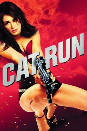 Phim Cat Run - Cat Run PhimChill Vietsub (2011)