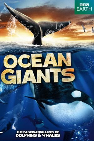 Phim Ocean Giants - Ocean Giants PhimChill Vietsub (2011)