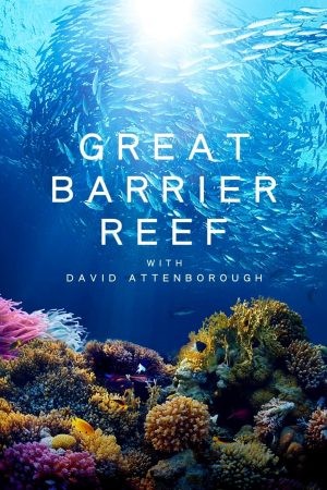 Phim Khám Phá Rạn San Hô Great Barrier cùng David Attenborough - Great Barrier Reef with David Attenborough PhimChill Vietsub (2015)