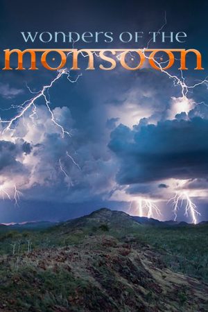 Phim Những Kỳ Quan Của Mùa Mưa - Wonders of the Monsoon PhimChill Vietsub (2014)