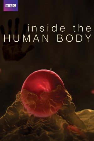 Phim Inside the Human Body - Inside the Human Body PhimChill Vietsub (2011)