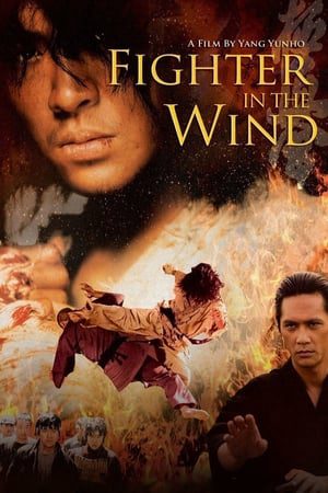 Phim Huyền thoại võ sĩ - Fighter in the Wind PhimChill Vietsub (2004)