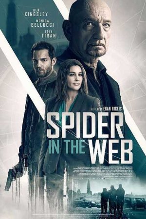 Phim Nhện trong mạng - Spider in the Web PhimChill Vietsub (2019)