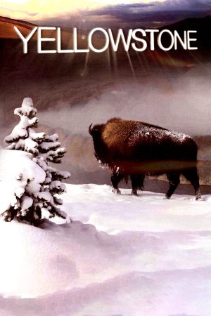 Phim Yellowstone - Yellowstone PhimChill Vietsub (2009)